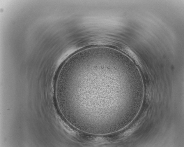 X0000088600787200706011201