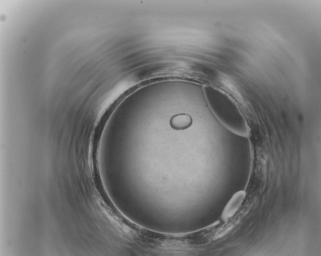 X0000088600788200706011201