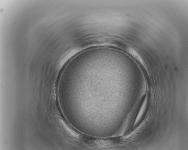 X0000088600789200706011201