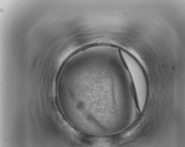 X0000088600791200706011201