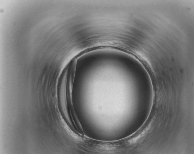 X0000088600792200706011201