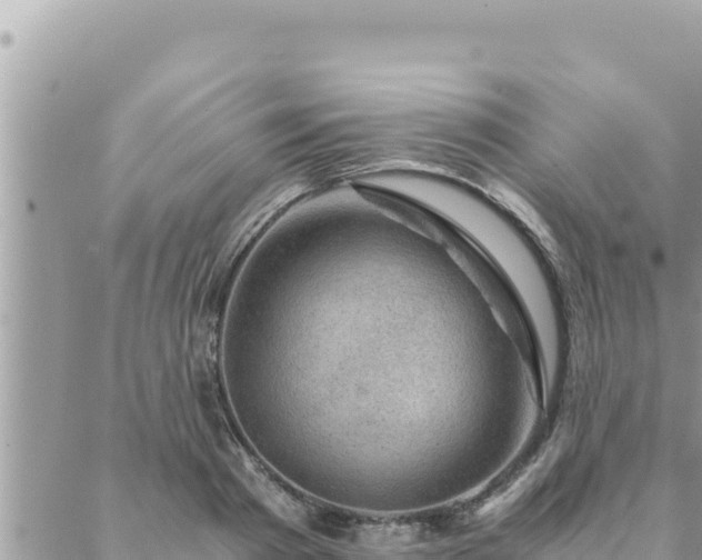 X0000088600793200706011201