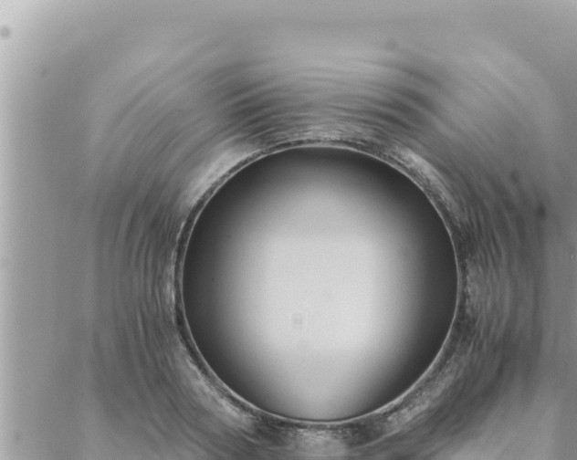 X0000088600794200706011201