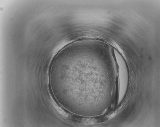 X0000088600795200706011201