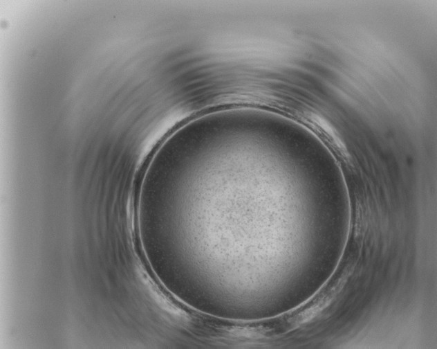 X0000088600796200706011201