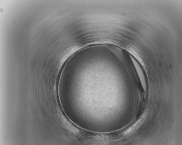 X0000088600797200706011201