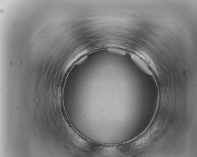 X0000088600798200706011201