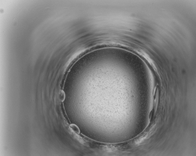 X0000088600799200706011201