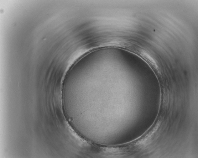 X0000088600800200706011201