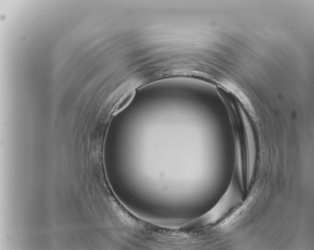 X0000088600801200706011201