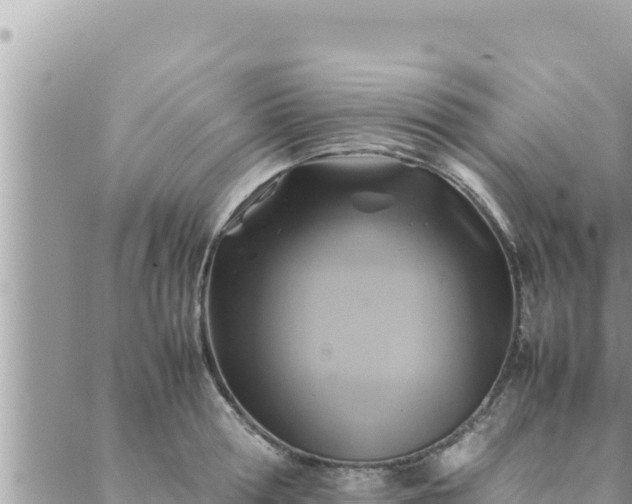 X0000088600802200706011201