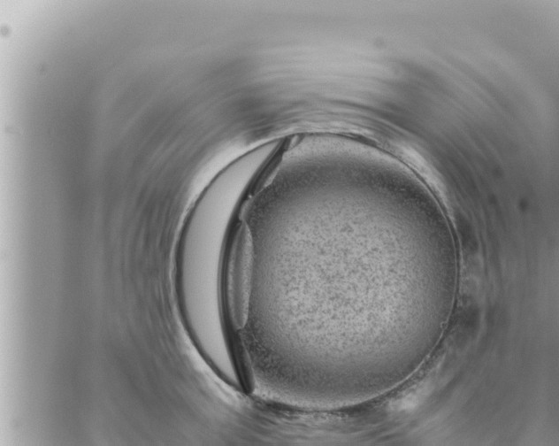 X0000088600803200706011201