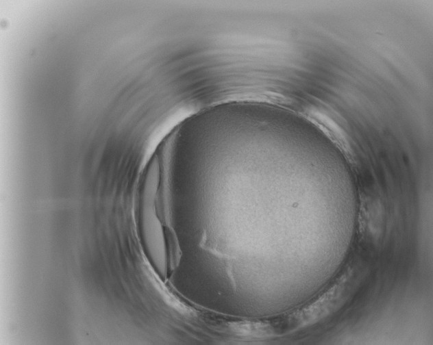 X0000088600804200706011201