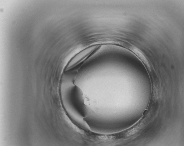 X0000088600805200706011201