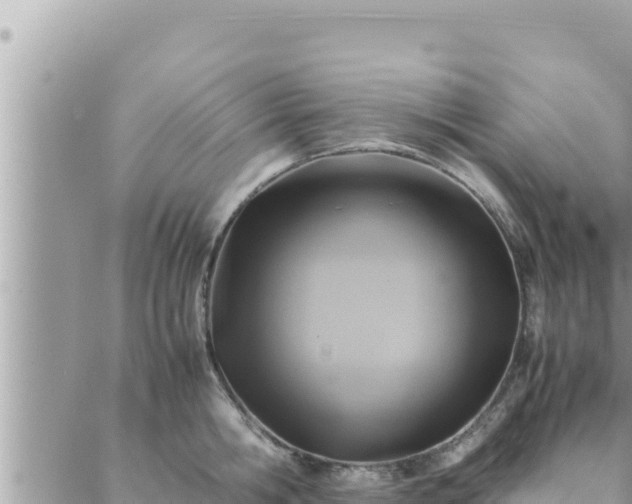 X0000088600806200706011201