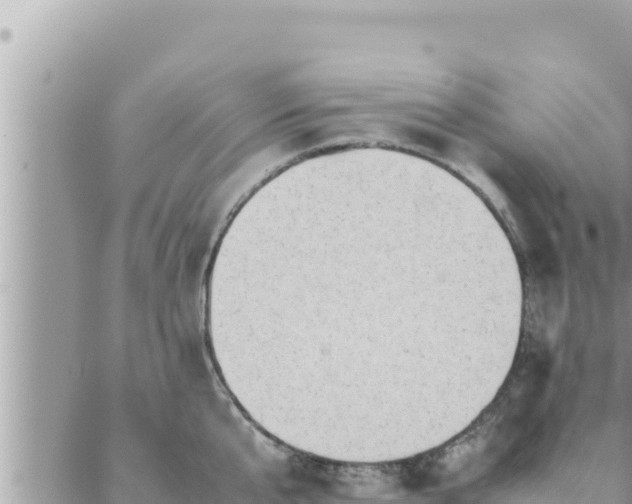 X0000088600807200706011201