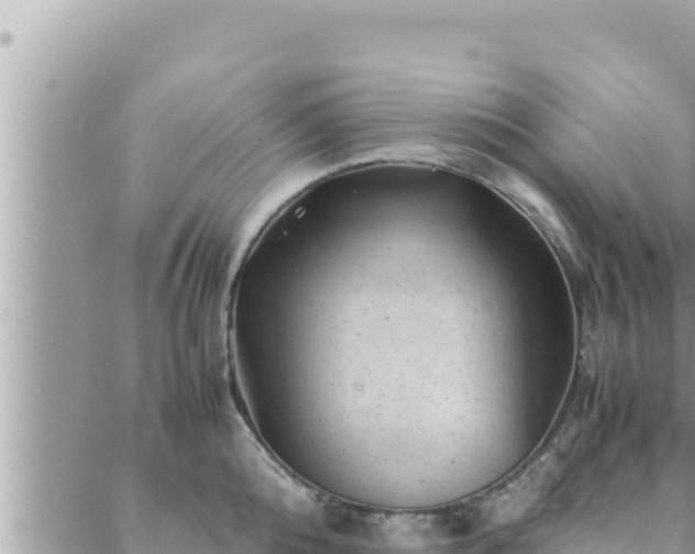 X0000088600808200706011201