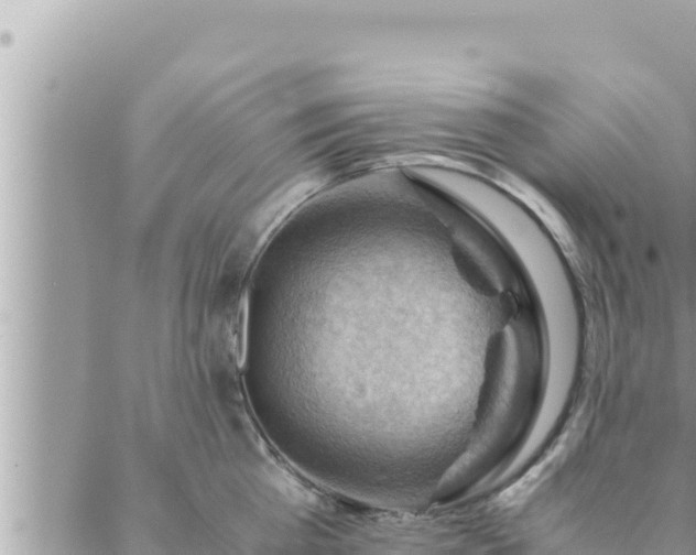 X0000088600809200706011201