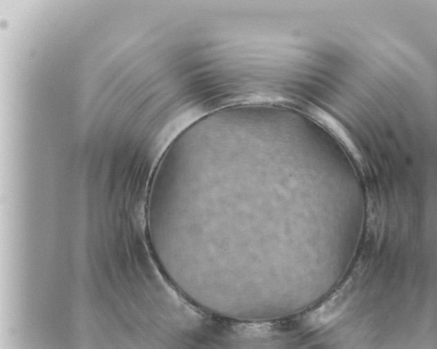 X0000088600810200706011201