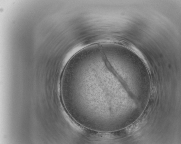 X0000088600811200706011201