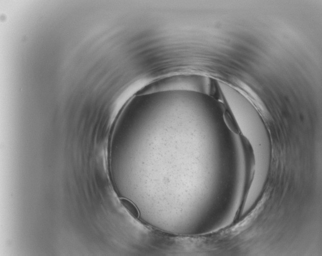 X0000088600812200706011201