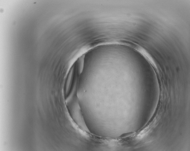 X0000088600813200706011201