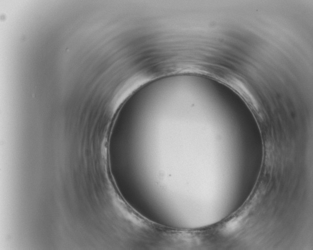 X0000088600814200706011201