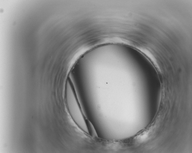 X0000088600815200706011201