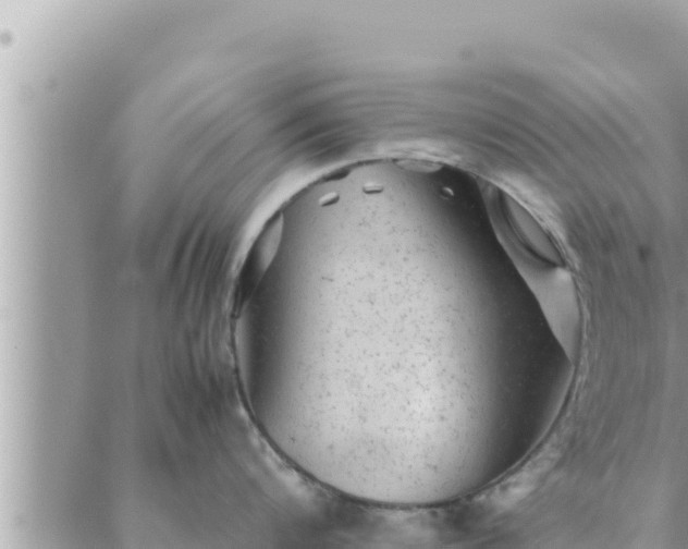 X0000088600816200706011201