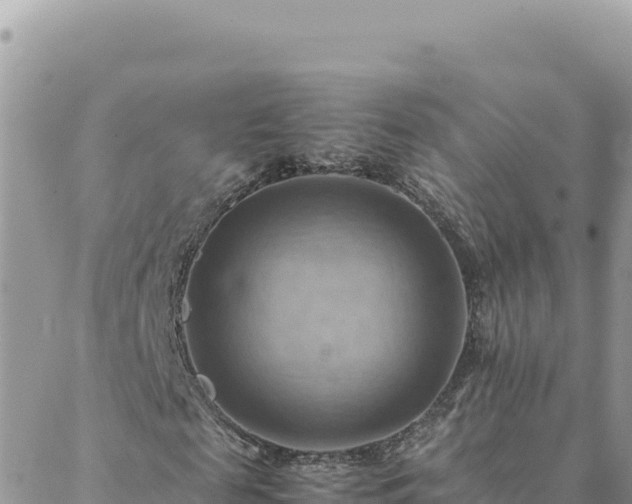 X0000088600817200706011200