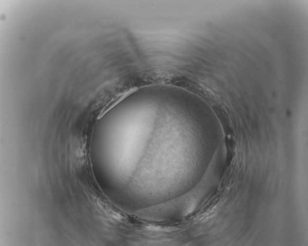 X0000088600818200706011200