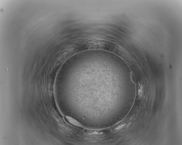 X0000088600819200706011200