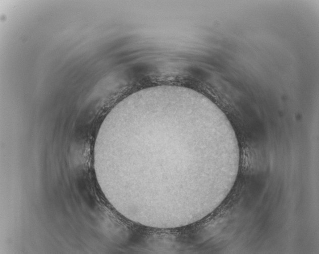 X0000088600820200706011200