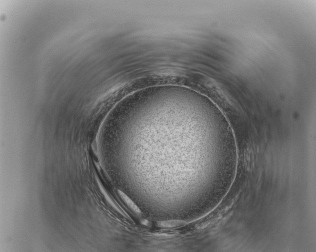 X0000088600821200706011200