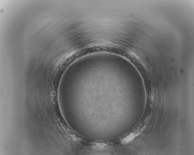 X0000088600822200706011200