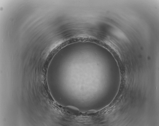 X0000088600823200706011200