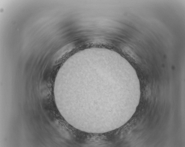 X0000088600824200706011200