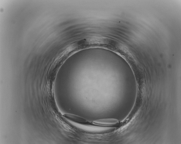 X0000088600825200706011200