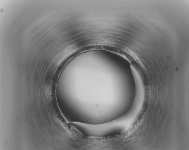 X0000088600826200706011200