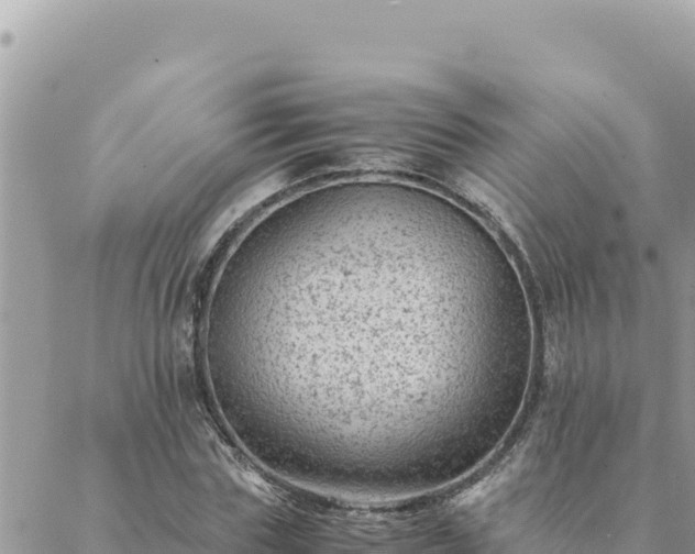 X0000088600827200706011200