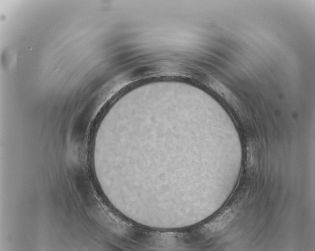 X0000088600828200706011200