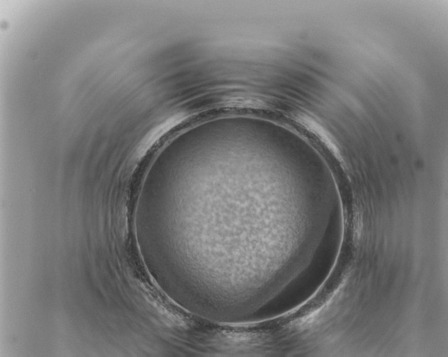 X0000088600829200706011200