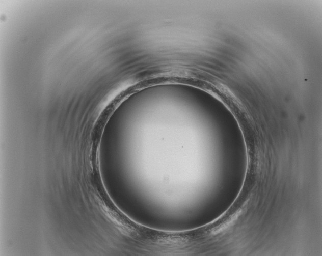 X0000088600830200706011200