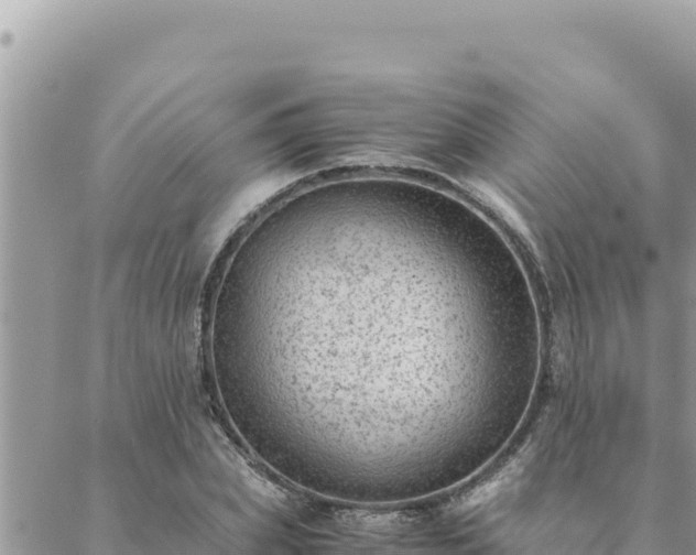 X0000088600831200706011200