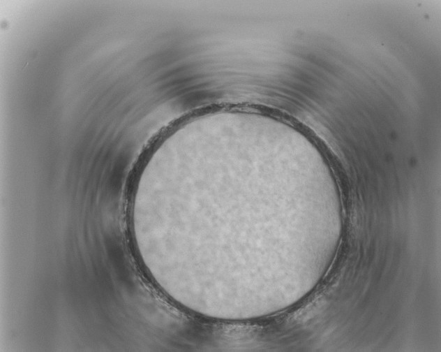 X0000088600832200706011200