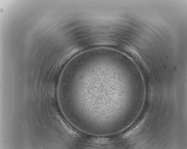 X0000088600833200706011200