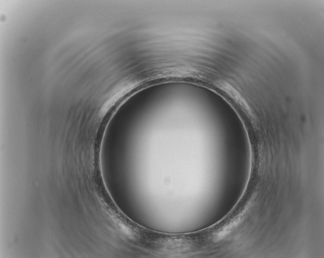 X0000088600834200706011200