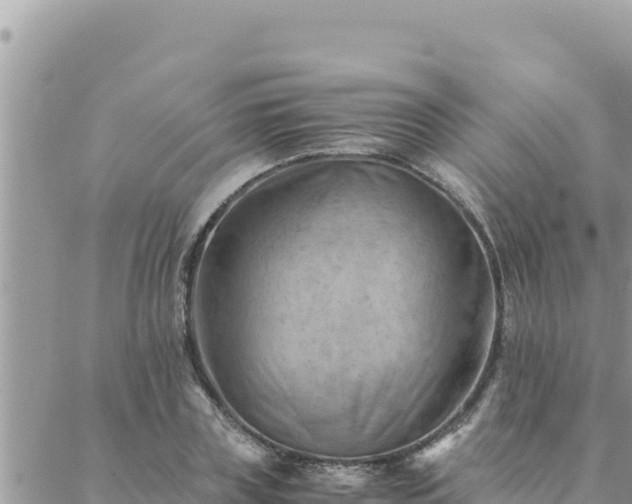 X0000088600835200706011200