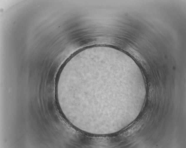 X0000088600836200706011200