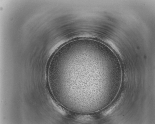 X0000088600837200706011200